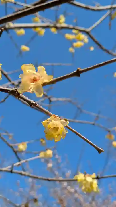 巨椋神社(京都府)