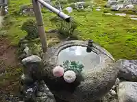 金剛寺(大阪府)