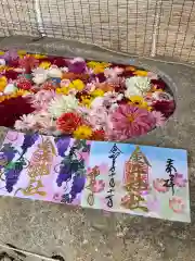 金井神社の手水