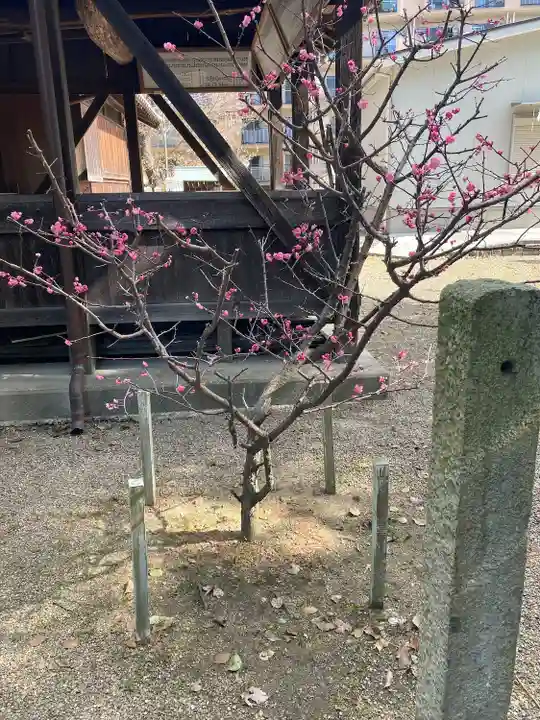 備後天満神社(兵庫県)