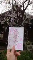 桜神宮の御朱印