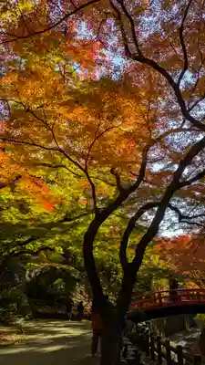 北野天満宮(京都府)