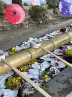 群馬県護国神社(群馬県)