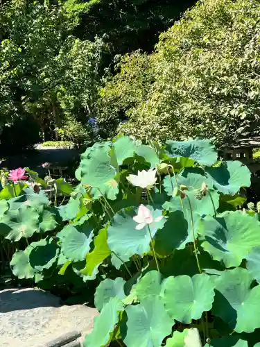 明王院(神奈川県)