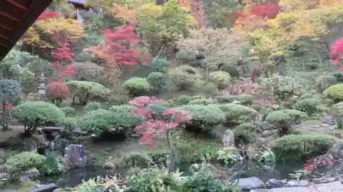 普済寺の庭園