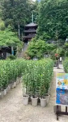 松尾寺(奈良県)