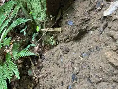猿田神社(千葉県)