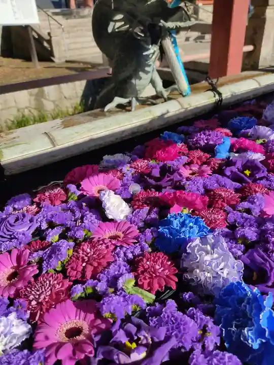 津島神社の手水舎