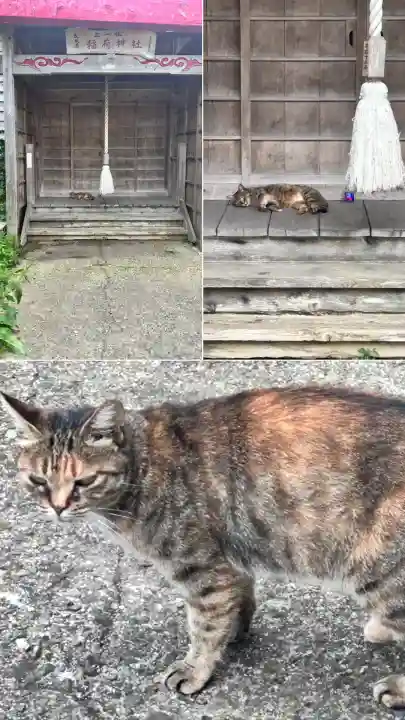 入舟稲荷神社(北海道)