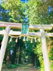 楯縫神社の鳥居