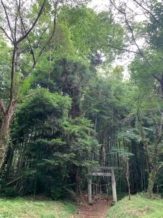 相馬高神社(千葉県)