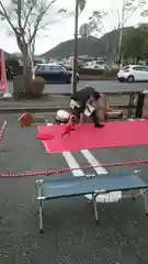 御坂神社の動物