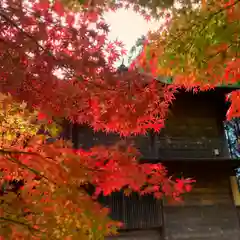 滑川神社 - 仕事と子どもの守り神の自然