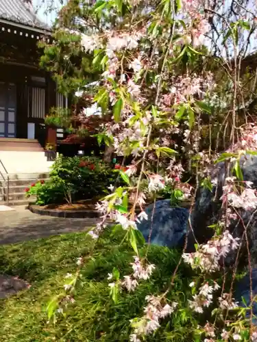 圓照寺(東京都)