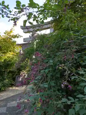 梨木神社(京都府)