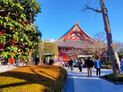 浅草寺(東京都)