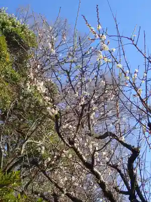 根岸八幡神社(神奈川県)