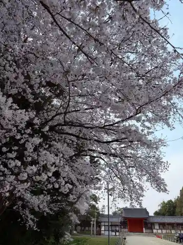 石清水八幡宮の{uncategorized: "未分類", other: "その他", undefined: "問題あり", building: "その他建物", grave: "お墓", sacred_gate: "鳥居", guardian: "狛犬", statue: "像", buddha: "仏像", history: "歴史", nature: "自然", garden: "庭園", animal: "動物", pagoda: "塔", temizu: "手水舎", mountain_gate: "山門・神門", sanctuary: "本殿・本堂", subordinate: "末社・摂社", art: "芸術", scenery: "景色", jizo: "地蔵", ema: "絵馬", goshuin: "御朱印", omikuji: "おみくじ", items: "授与品その他", amulet: "お守り", goshuincho: "御朱印帳", eats: "食事", festival: "お祭り", votive_dance: "神楽", shichigosan: "七五三参", wedding: "結婚式", experience: "体験その他", initially: "初詣", around: "周辺", anti_infection: "感染症対策"}