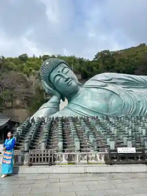 南蔵院の{uncategorized: "未分類", other: "その他", undefined: "問題あり", building: "その他建物", grave: "お墓", sacred_gate: "鳥居", guardian: "狛犬", statue: "像", buddha: "仏像", history: "歴史", nature: "自然", garden: "庭園", animal: "動物", pagoda: "塔", temizu: "手水舎", mountain_gate: "山門・神門", sanctuary: "本殿・本堂", subordinate: "末社・摂社", art: "芸術", scenery: "景色", jizo: "地蔵", ema: "絵馬", goshuin: "御朱印", omikuji: "おみくじ", items: "授与品その他", amulet: "お守り", goshuincho: "御朱印帳", eats: "食事", festival: "お祭り", votive_dance: "神楽", shichigosan: "七五三参", wedding: "結婚式", experience: "体験その他", initially: "初詣", around: "周辺", anti_infection: "感染症対策"}