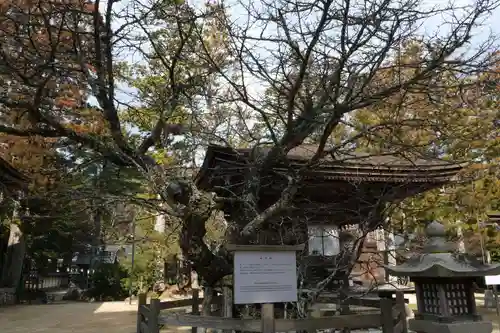 高野山金剛峯寺の自然