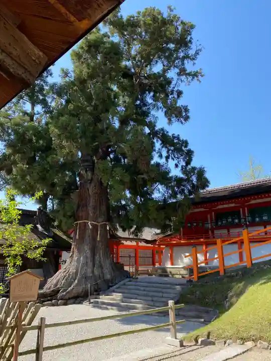 春日大社のその他建物