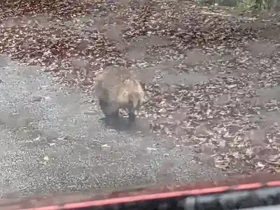 玉置神社(奈良県)