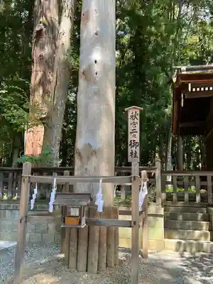 諏訪大社下社秋宮(長野県)