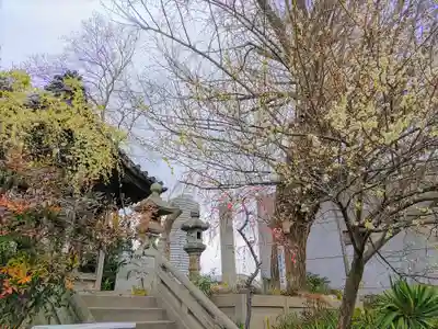 天神社（中切町）の自然