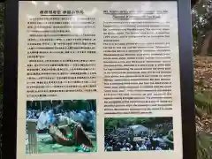 相模国総社六所神社の建物その他