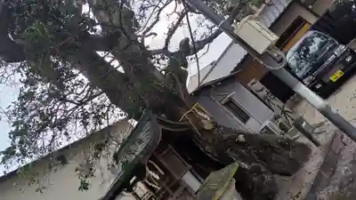 櫟谷七野神社(京都府)