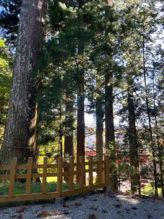 須山浅間神社のその他建物
