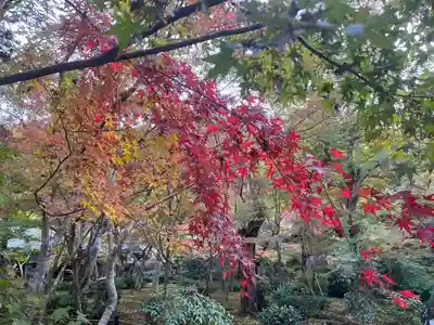 圓光寺(京都府)