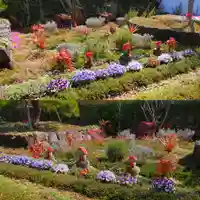 寿量山 速成寺(奈良県)