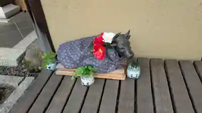 大松禅寺(京都府)