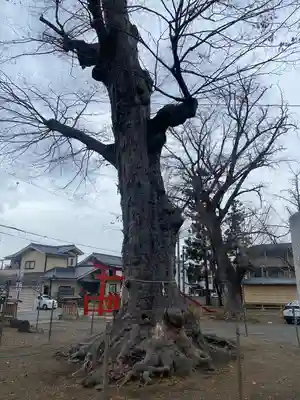 科野大宮社(長野県)