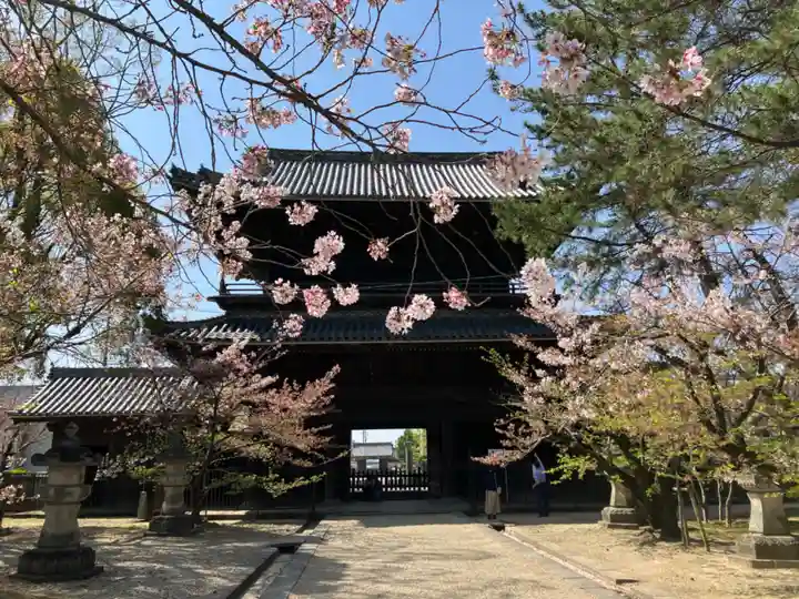 大樹寺(松安院大樹寺)の山門・神門