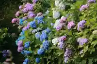 三春駒神社の庭園