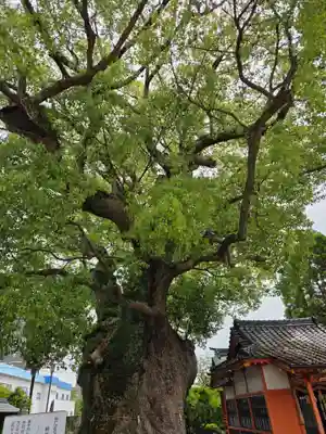 與賀神社(佐賀県)