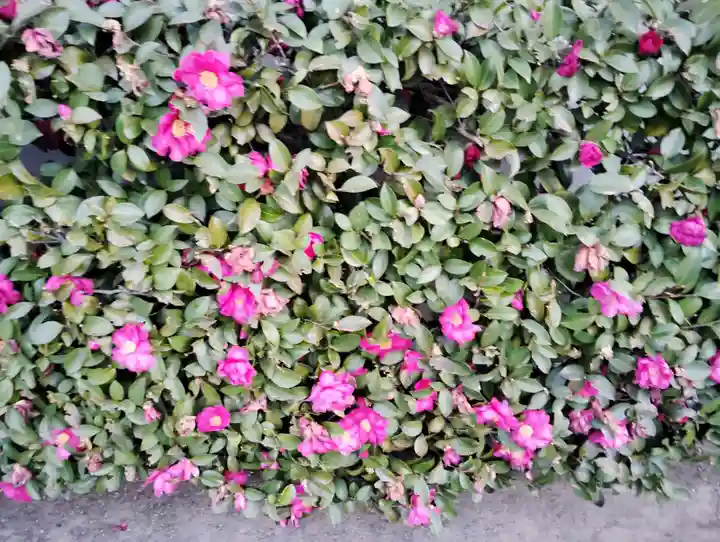 熊野神社(群馬県)