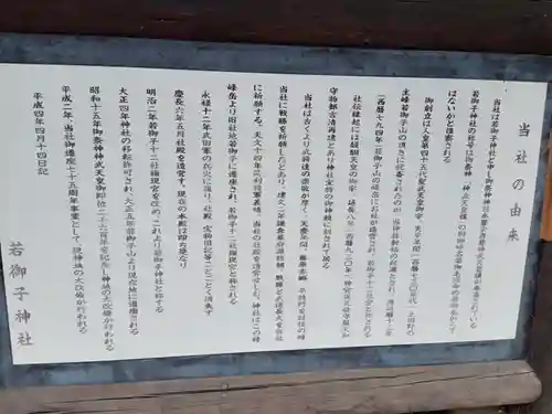 秩父若御子神社(埼玉県)