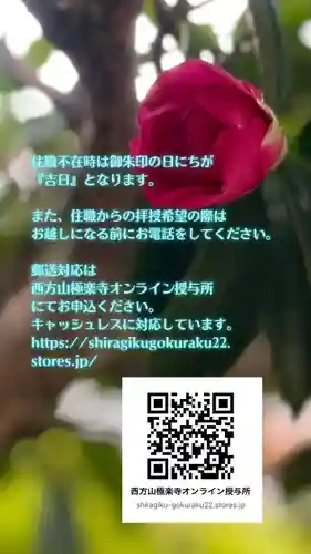 西方山極楽寺(岐阜県)