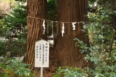 側高神社(千葉県)