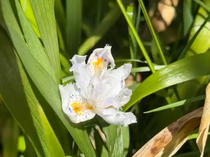 西方山極楽寺(岐阜県)