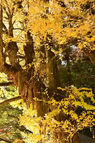 八畝観音堂(高知県)