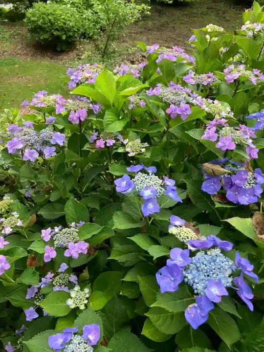 長谷寺(長野県)