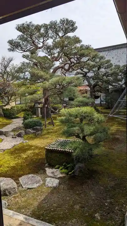 妙顯寺(妙顕寺)(京都府)