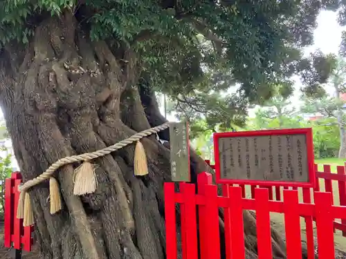 八幡大神(神奈川県)
