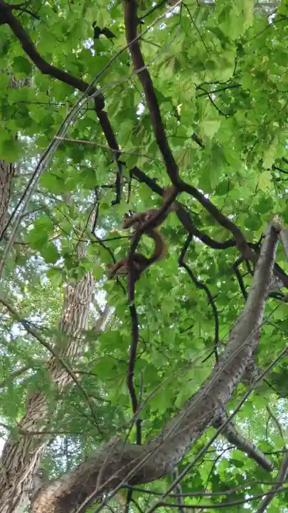 相馬神社(北海道)