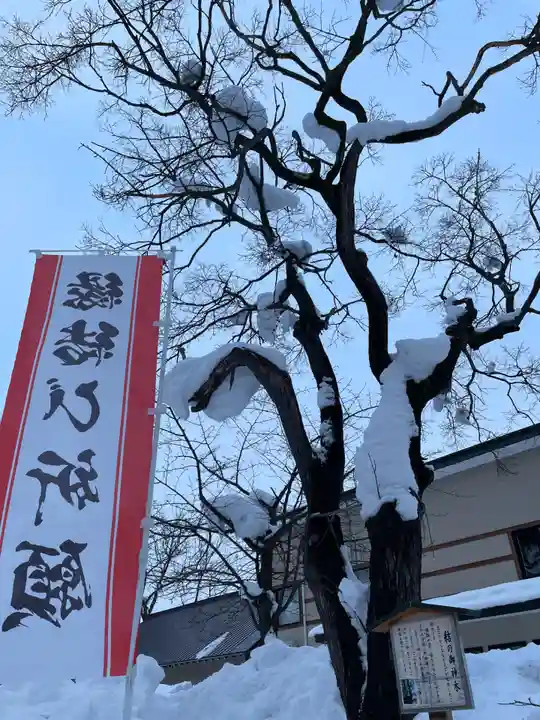 空知神社の自然