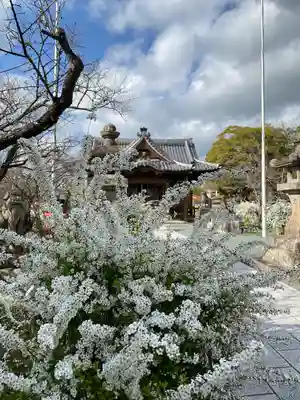 青木天満宮(福岡県)